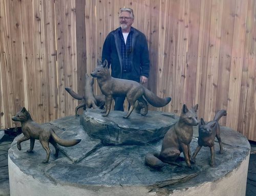 Bronze Foxes